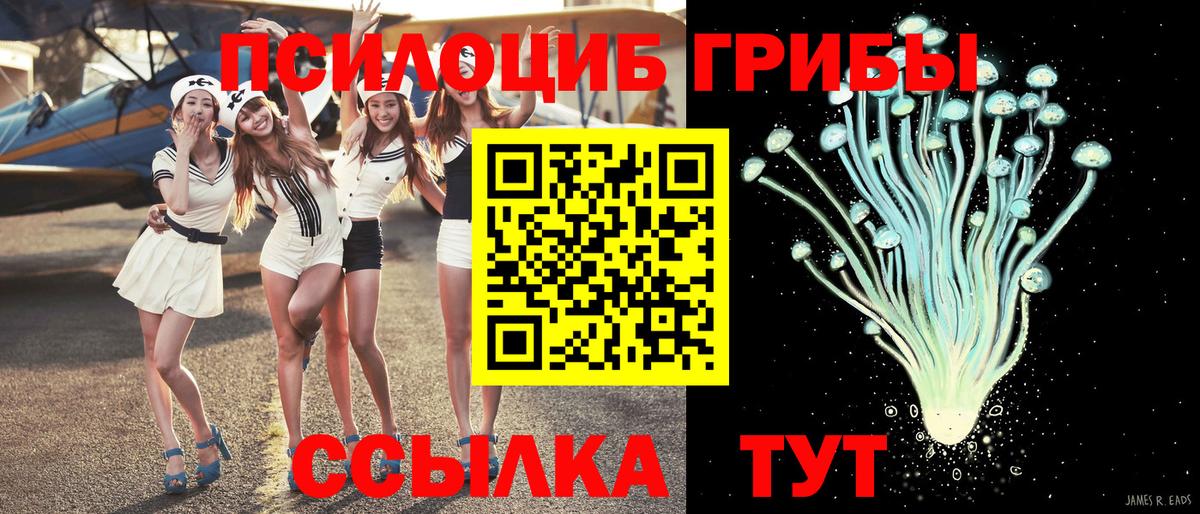 Псилоцибиновые грибы Cubensis Севастополь